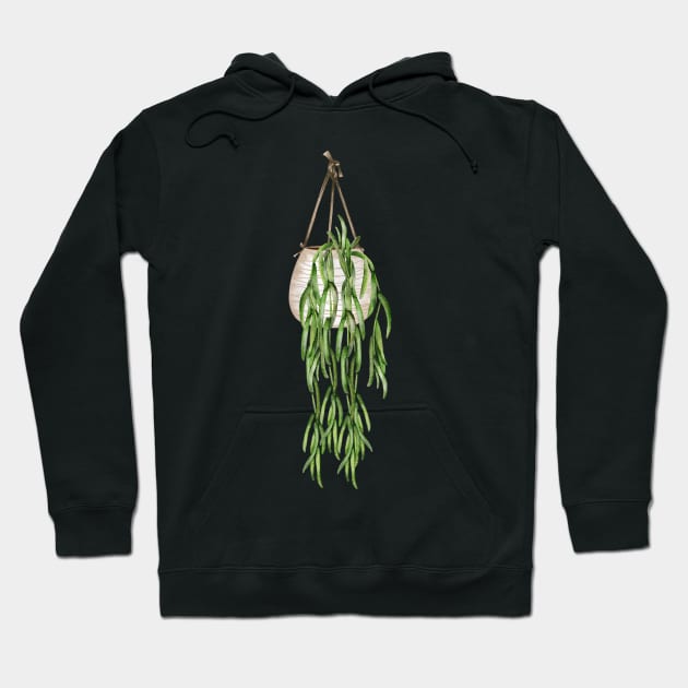 Hoya Linearis Hoodie by gronly